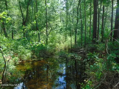 490 Springhill Church Road Hamlet NC 28345