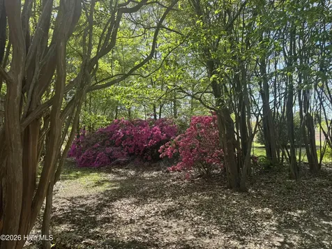 490 Springhill Church Road Hamlet NC 28345