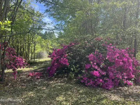 490 Springhill Church Road Hamlet NC 28345
