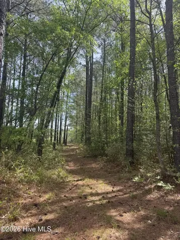 490 Springhill Church Road Hamlet NC 28345