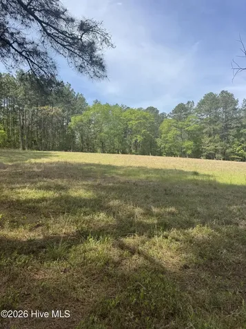 490 Springhill Church Road Hamlet NC 28345