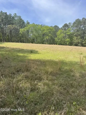 490 Springhill Church Road Hamlet NC 28345