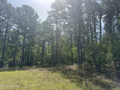 490 Springhill Church Road Hamlet NC 28345