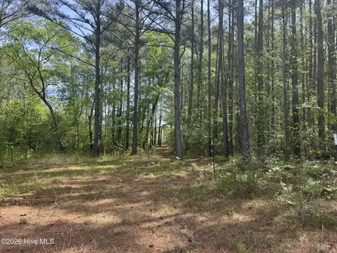 490 Springhill Church Road Hamlet NC 28345