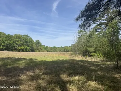 490 Springhill Church Road Hamlet NC 28345