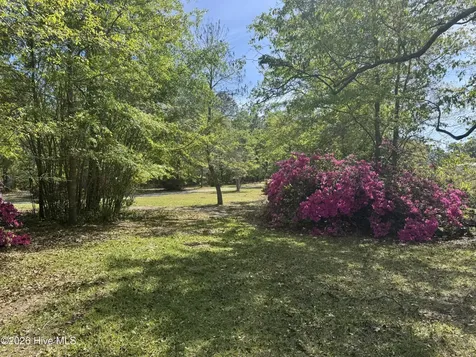 490 Springhill Church Road Hamlet NC 28345