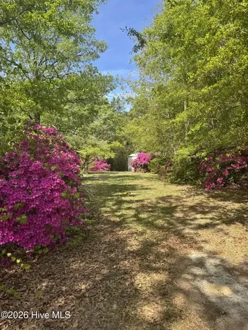 490 Springhill Church Road Hamlet NC 28345