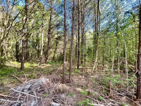 Tbd Beth Drive Conway SC 29527