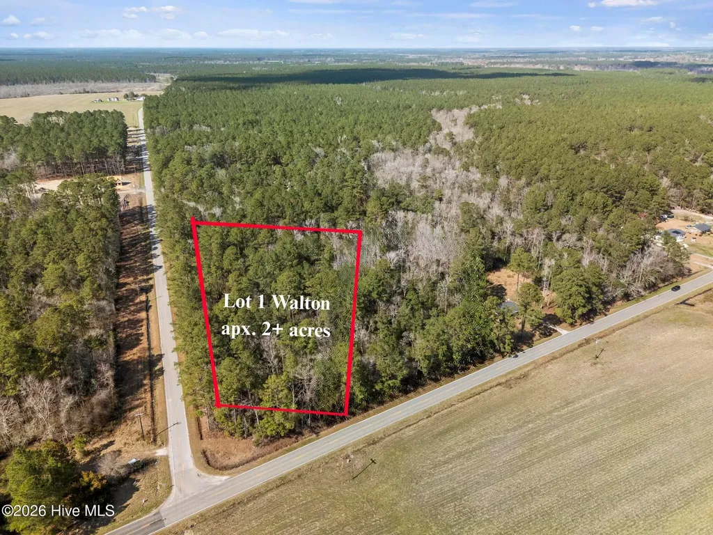 Lot 1 Page Road (Walton Lot 1) Court Burgaw NC 28425