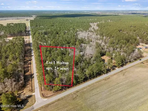 Lot 1 Page Road (Walton Lot 1) Court Burgaw NC 28425