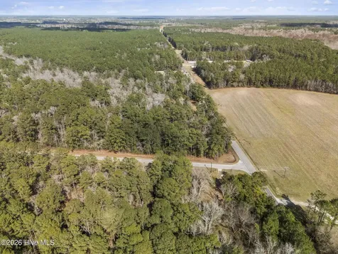 Lot 1 Page Road (Walton Lot 1) Court Burgaw NC 28425