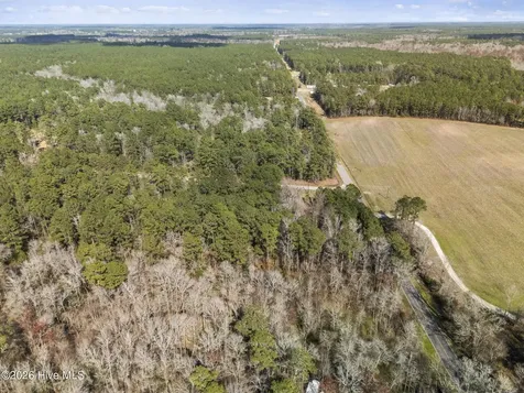 Lot 1 Page Road (Walton Lot 1) Court Burgaw NC 28425