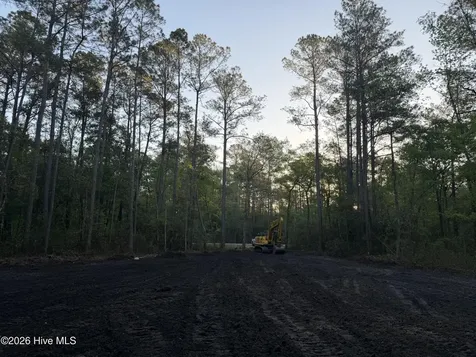 Lot 1 Page Road (Walton Lot 1) Court Burgaw NC 28425