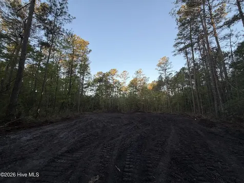 Lot 1 Page Road (Walton Lot 1) Court Burgaw NC 28425