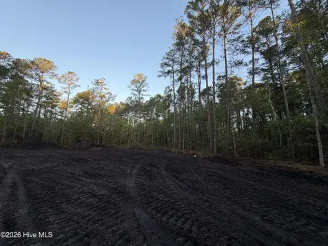 Lot 1 Page Road (Walton Lot 1) Court Burgaw NC 28425