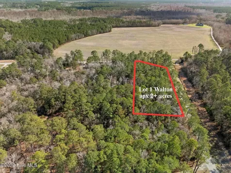 Lot 1 Page Road (Walton Lot 1) Court Burgaw NC 28425