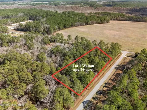 Lot 1 Page Road (Walton Lot 1) Court Burgaw NC 28425