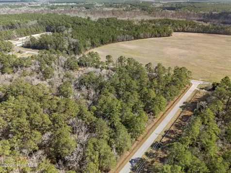Lot 1 Page Road (Walton Lot 1) Court Burgaw NC 28425