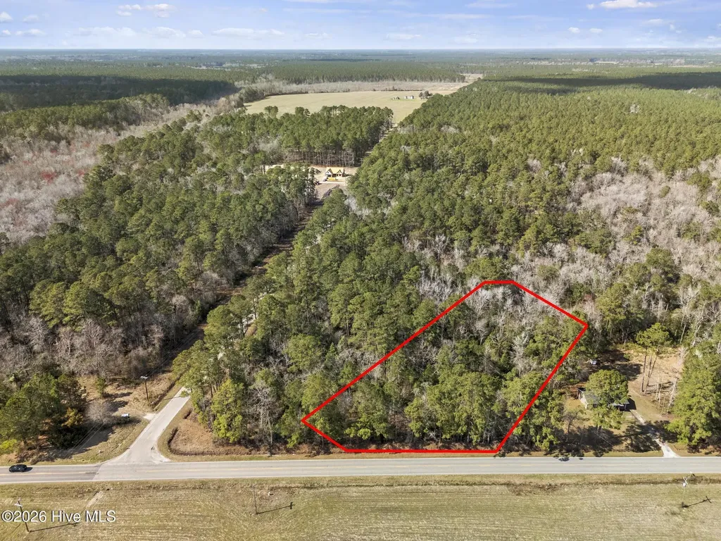 Lot 2 Malpass (Walton Lot 2) Corner Burgaw NC 28425