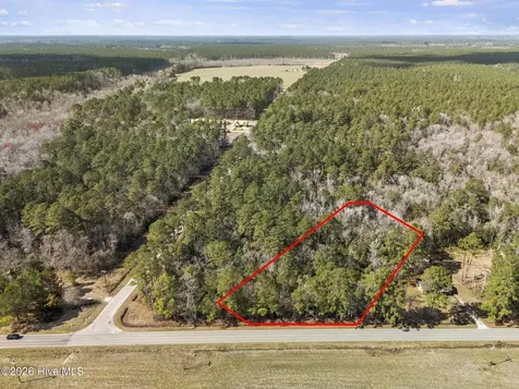 Lot 2 Malpass (Walton Lot 2) Corner Burgaw NC 28425