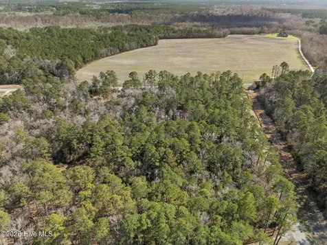 Lot 2 Malpass (Walton Lot 2) Corner Burgaw NC 28425
