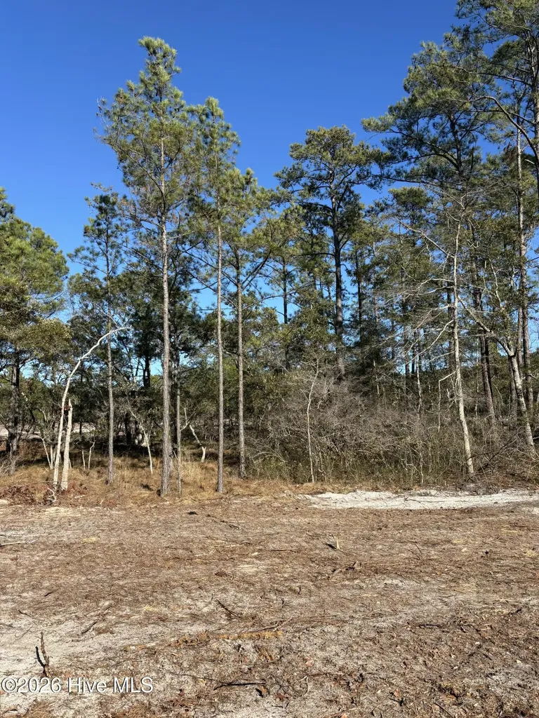 Lot 135 Coral Gull Street Southport NC 28461