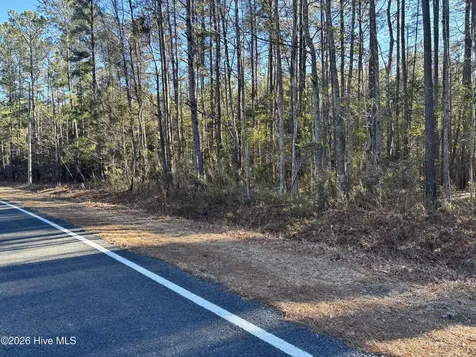 0 Biggs Road Rowland NC 28383