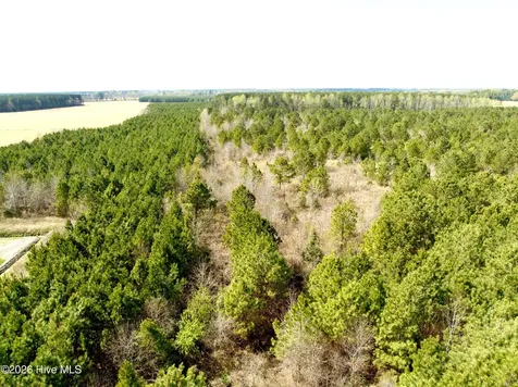 0 Black Mingle Road Gates NC 27937