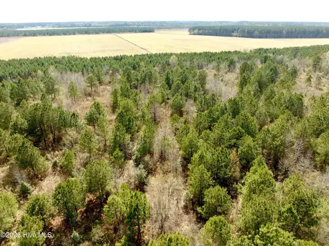 0 Black Mingle Road Gates NC 27937