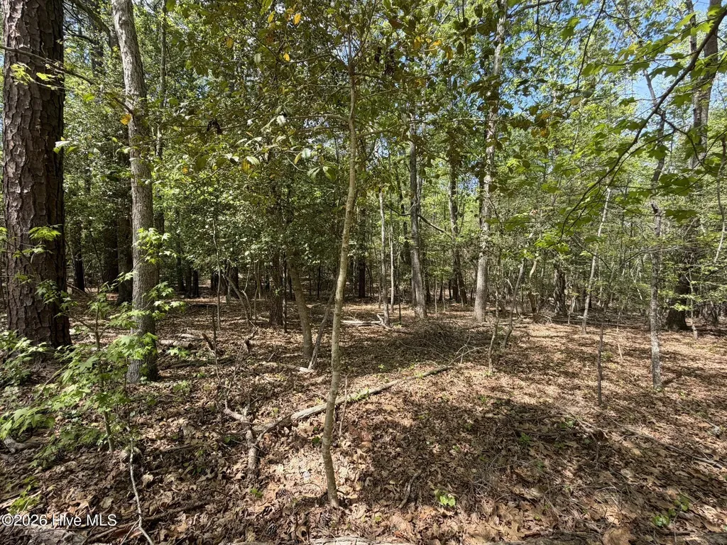 1012R Cedar Lane Seven Lakes NC 27376