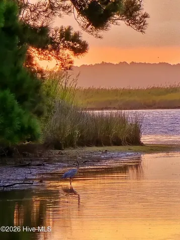 141 Williams Drive Knotts Island NC 27950