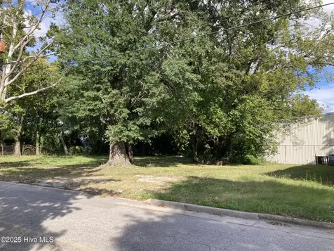 119 Pettigrew Street S Wilson NC 27893