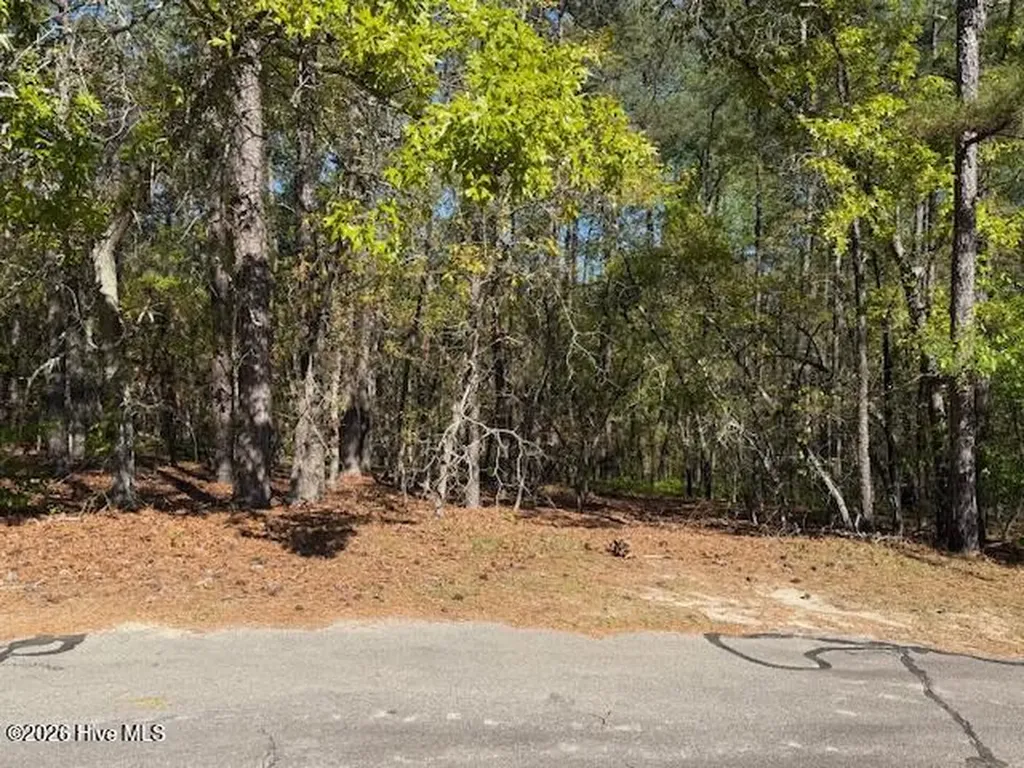 38 Fox Lane Wagram NC 28396