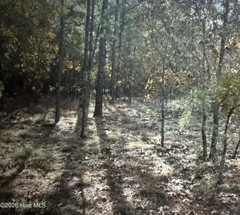 Tbd Fox Road Marston NC 28363