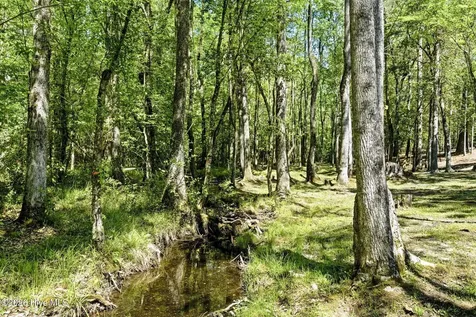 375 Wolfridge Road NE Leland NC 28451
