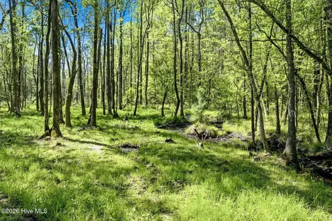 375 & 383 Wolfridge Road NE Leland NC 28451