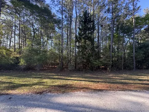 43 Pond View Circle E Hampstead NC 28443
