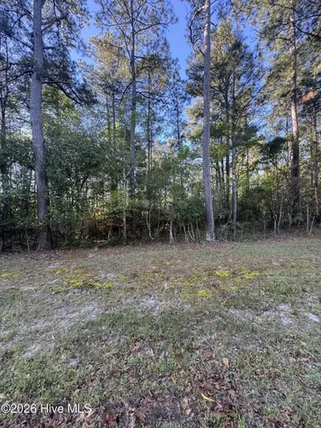43 Pond View Circle E Hampstead NC 28443
