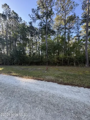 43 Pond View Circle E Hampstead NC 28443