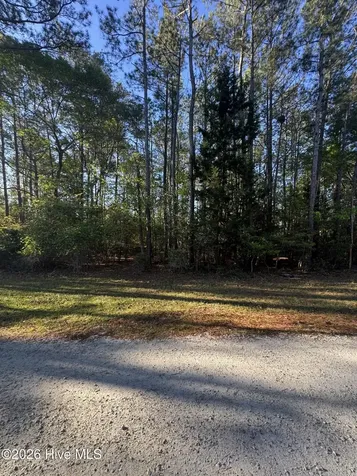 42 Pond View Circle E Hampstead NC 28443