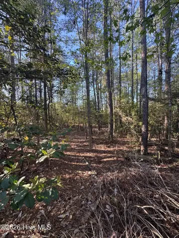 42 Pond View Circle E Hampstead NC 28443