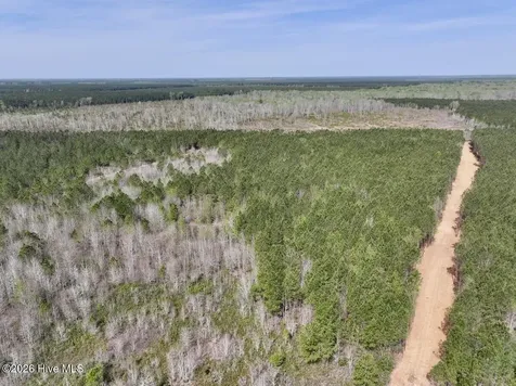 0 Guinea Mill Road Ernul NC 28527