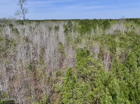 0 Guinea Mill Road Ernul NC 28527