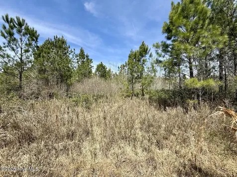 0 Guinea Mill Road Ernul NC 28527
