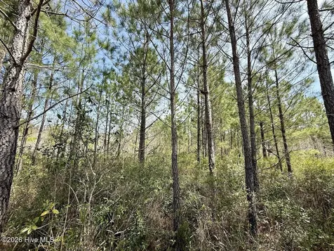 0 Guinea Mill Road Ernul NC 28527