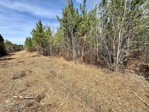 0 Guinea Mill Road Ernul NC 28527