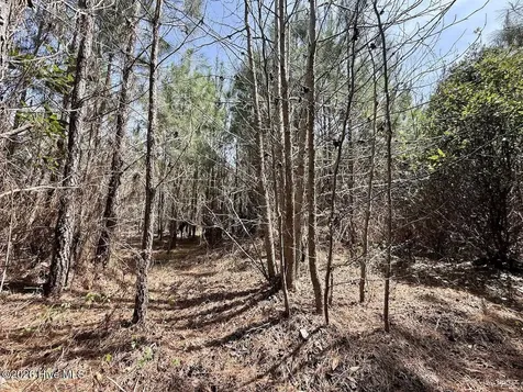 0 Guinea Mill Road Ernul NC 28527