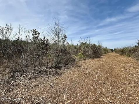 0 Guinea Mill Road Ernul NC 28527
