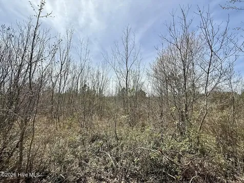 0 Guinea Mill Road Ernul NC 28527