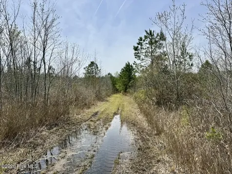 0 Guinea Mill Road Ernul NC 28527